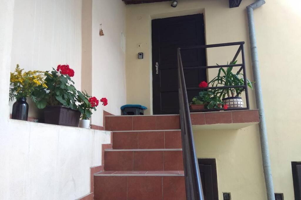Apartmán v centru Olomouc Exterior foto